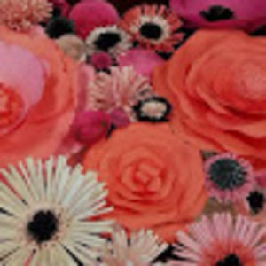 Meet your Posher, Amalia